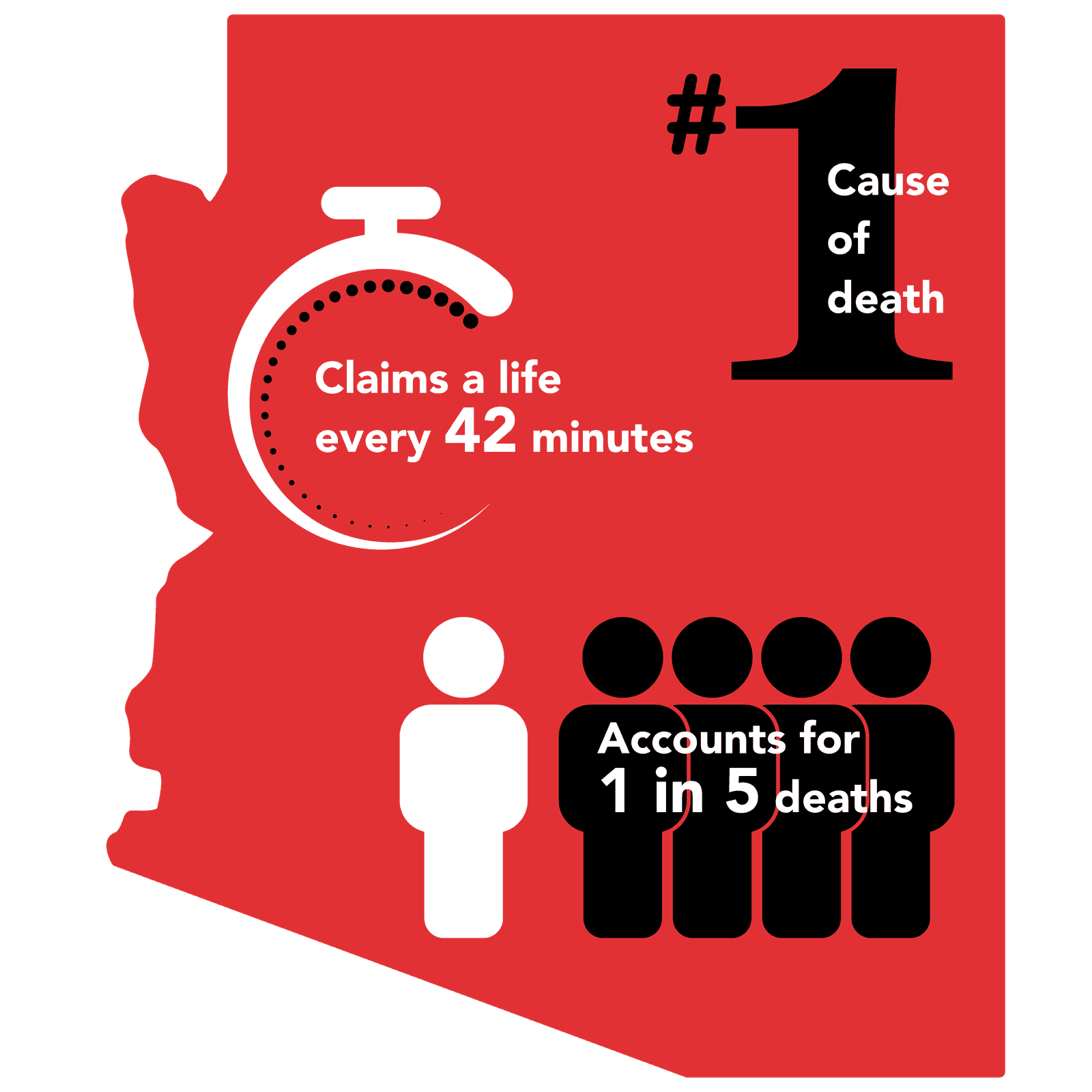 Arizona: cardiovascular disease is the #1 cause of death, claims a life every 42 minutes, and accounts for 1 in 5 deaths